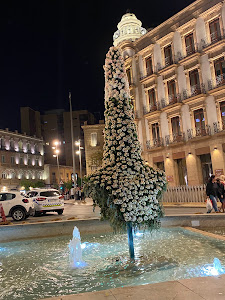 Edificio De Las Mariposas — fotografia 4