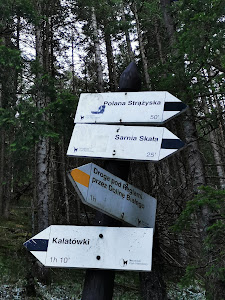 Skrzyżowanie szlaków — fotografia 5