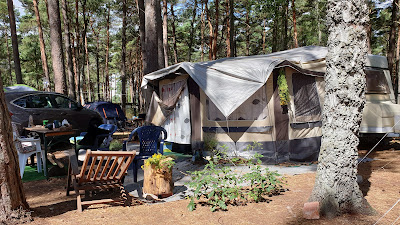 Campsite Piotr Podgórski — fotografia 2
