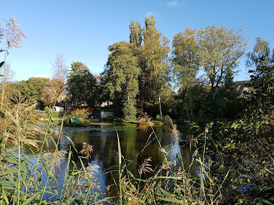 Angelteiche am 'Broicher Weiher' — fotografia 3