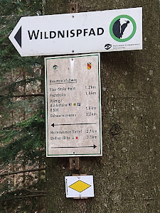 Wildnispfad — fotografia 3