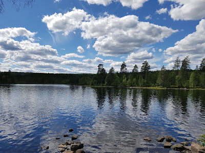 Storoiungen