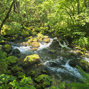 Izvir Glijuna