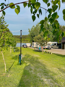 Pod Brzozą - pole kempingowe — fotografia 5