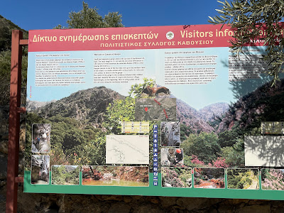 Monumental Olive Tree of Azorias (Kavousi) — fotografia 5
