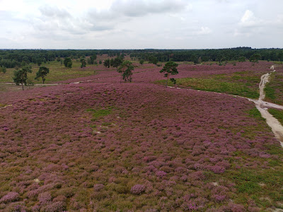 Uitkijktoren De Afferdense Duinen — fotografia 5