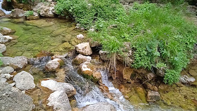 Nacimiento del Río Mundo — fotografia 2
