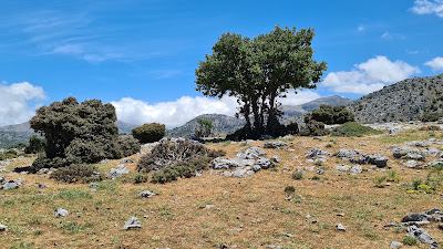 Katharo Plateau — fotografia 3
