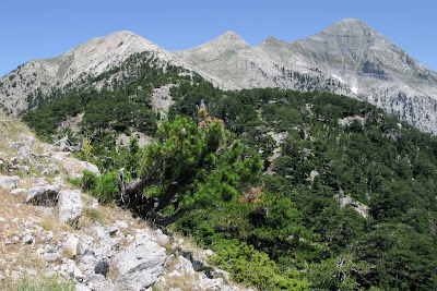 Taygetus — fotografia 5