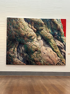 Museo de Bellas Artes de Castellón — fotografia 5