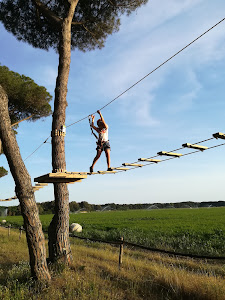 Parco Avventura Fregene — fotografia 5