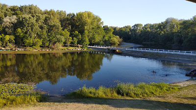 Tőserdő Holt Tisza — fotografia 3