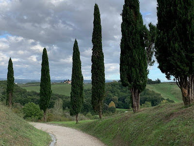 Canonica hill Park
