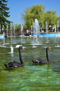 City Park by the river Iskar — fotografia 4