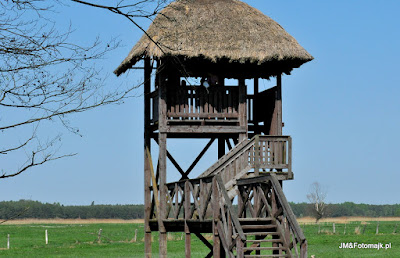 Pentowo - VII Europejska Wieś Bociania — fotografia 5