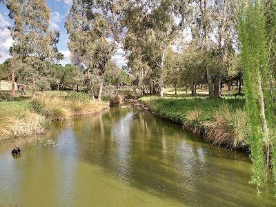 Parque Natural Las Quinientas — fotografia 4