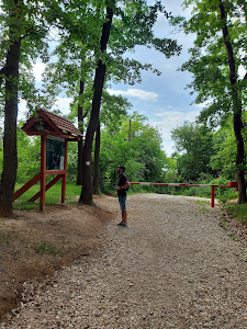 Kishegyi kilátó Balatonlelle — fotografia 5