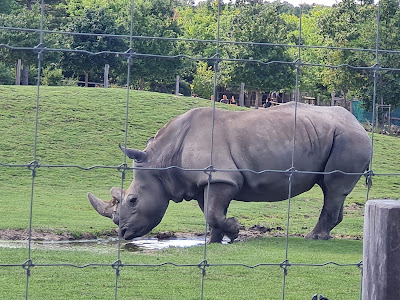 Veszprém Zoo — fotografia 4