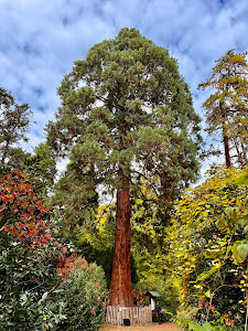 Szarvasi Arborétum — fotografia 5