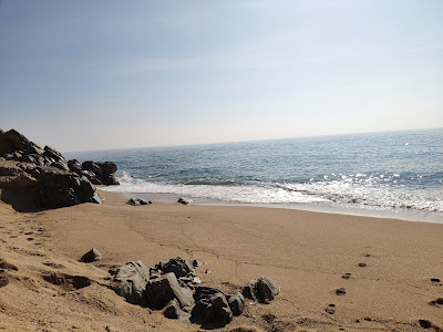 Platja de la Murtra — fotografia 5