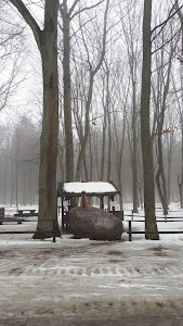 Głaz Serce Puszczy — fotografia 4