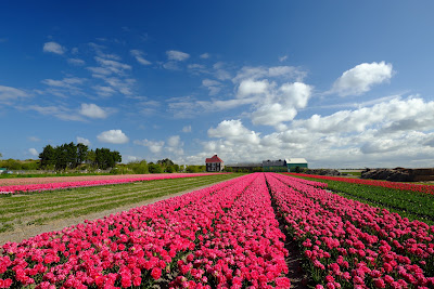 Land van Fluwel Avonturenparadijs — fotografia 5