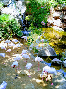 Bioparc Fuengirola — fotografia 4