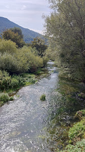 Ribnik