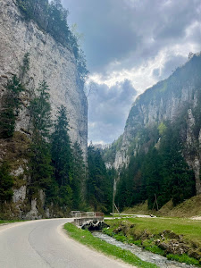 Cheile Dâmbovicioarei — fotografia 5