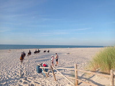 Plaża 30 - Wierzchucino