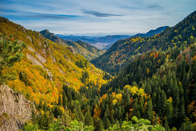 The Waterfalls Canyon