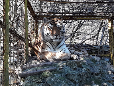 Stara Zagora Zoo — fotografia 3