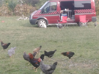 Camping Fridolin — fotografia 4