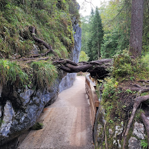 Ramsauer Ache im Zauberwald — fotografia 3