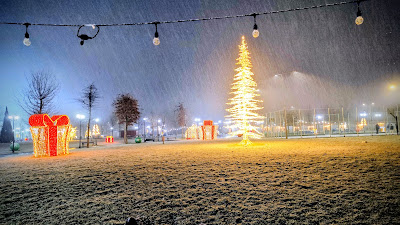 Parcul Tineretului Slatina — fotografia 3