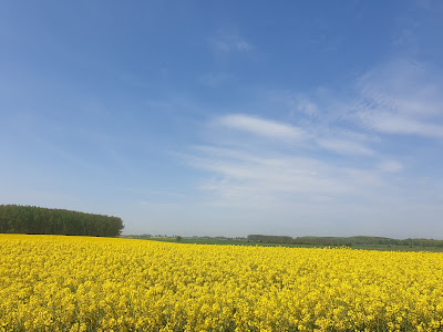 Fertő-Hanság National Park — fotografia 3