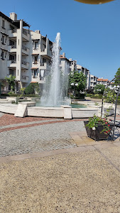Oasis Beach — fotografia 3