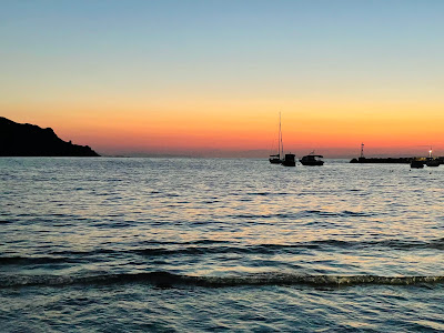 Δυο τζιτζίκια στ'αρμυρίκια — fotografia 5