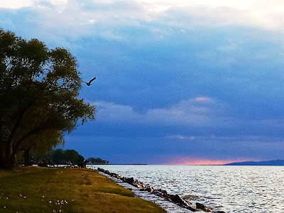 Virág Strand