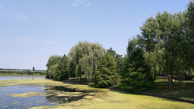 Parcul Dendrologic — fotografia 3