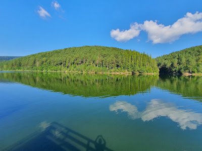 Lacul Gozna