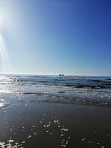 Bathe Ording North nudist — fotografia 5