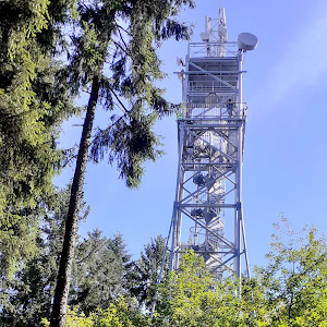 Observation tower Cow Mountain — fotografia 3