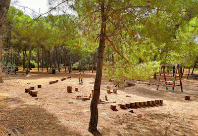 Área Recreativa Los Pinares de Aznalcázar - Puebla del Río — fotografia 4