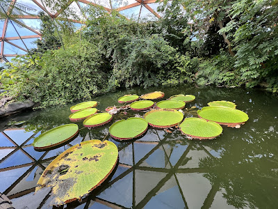 Rotterdam Zoo — fotografia 4