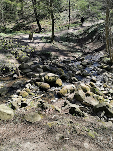 Stensby Møllebæk (Malling's Gorge) — fotografia 3