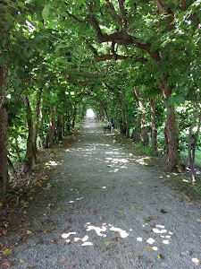 Dachau Palace — fotografia 4