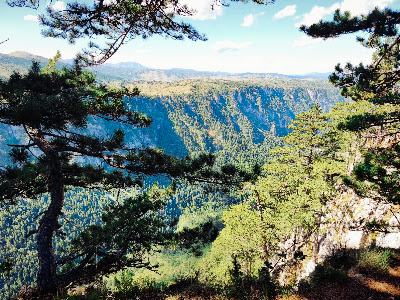 Vidikovac kanjon viewpoint