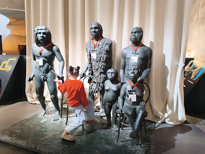 Domus — fotografia 4