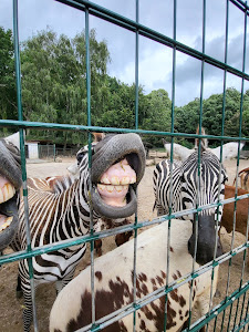 Gettorf Zoo — fotografia 5